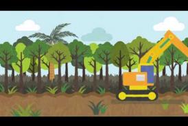 Embedded thumbnail for Mari Mengenal Ekosistem Gambut