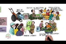 Embedded thumbnail for Sustainable Cocoa